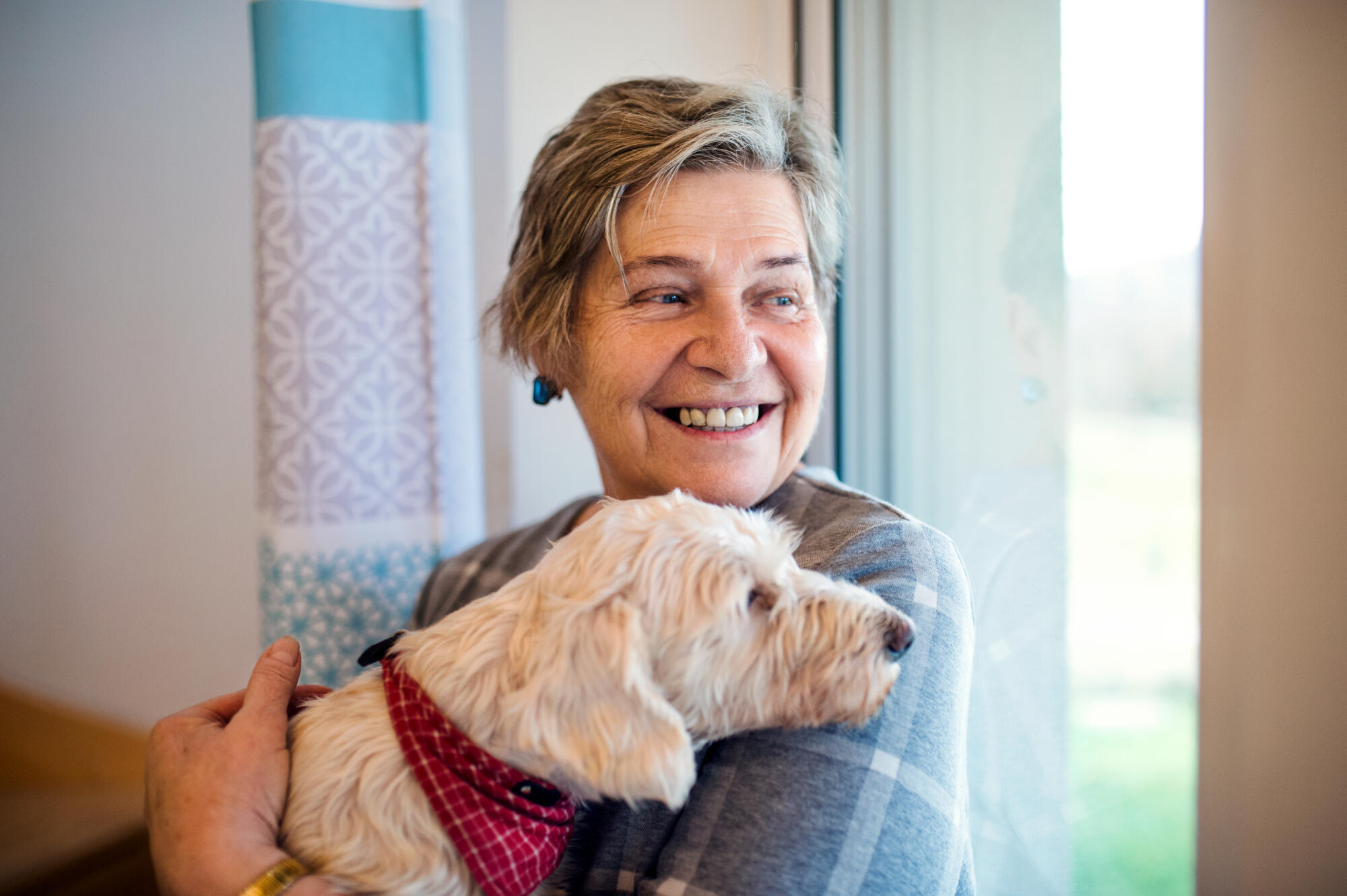 Humane Society Volunteer Opportunities for Seniors